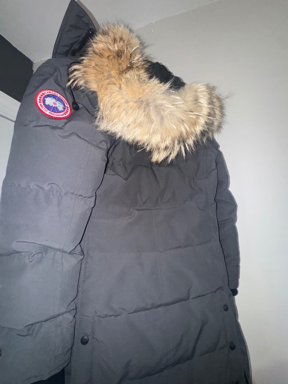 Canada Goose